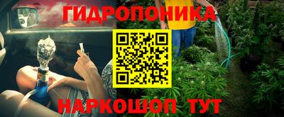 PSILOCYBIN Будённовск