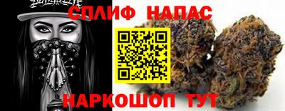 PSILOCYBIN Будённовск