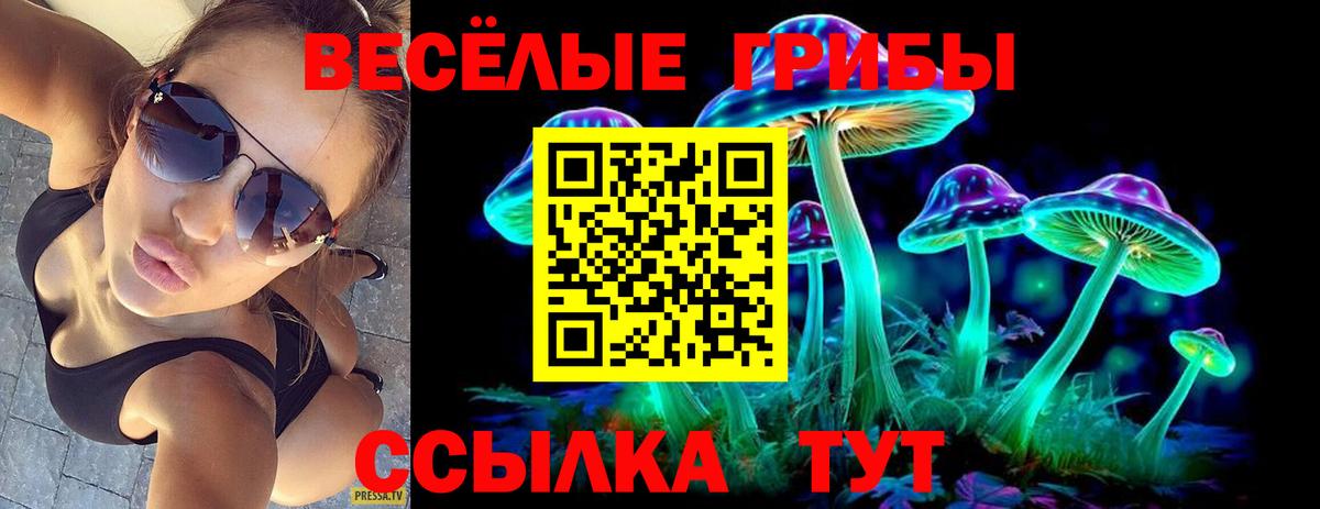 Галлюциногенные грибы MAGIC MUSHROOMS Славгород