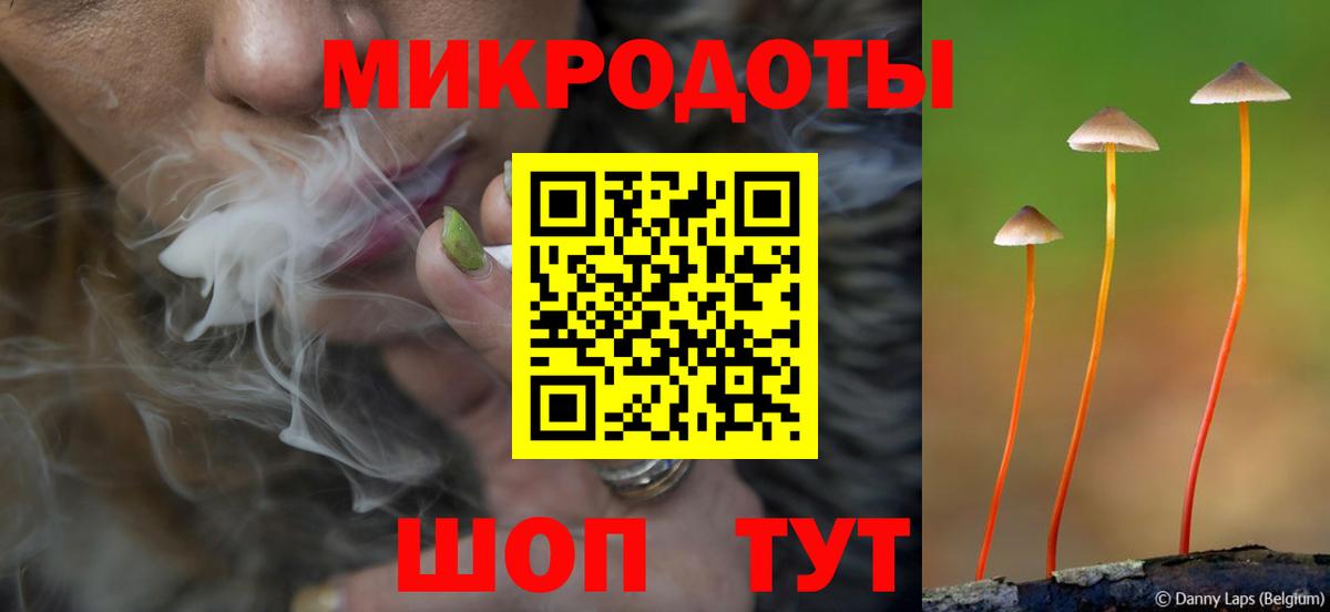 Галлюциногенные грибы MAGIC MUSHROOMS  Вход с VPN  закладка  Галлюциногенные грибы ЛСД  Славгород 